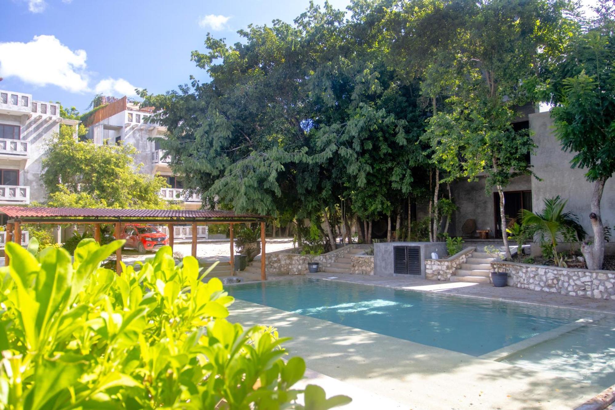Hotel Casa Tortuga Tulum - Cenotes Park Inclusive Exterior photo The swimming pool at the hotel