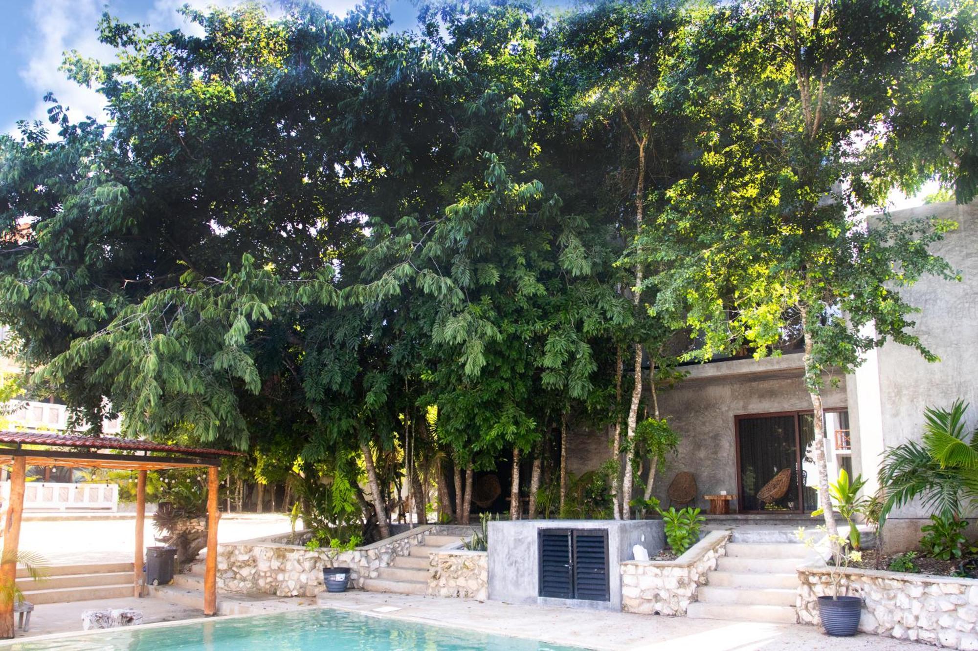 Hotel Casa Tortuga Tulum - Cenotes Park Inclusive Exterior photo Casa Periódica, Mérida, Yucatán, Mexico