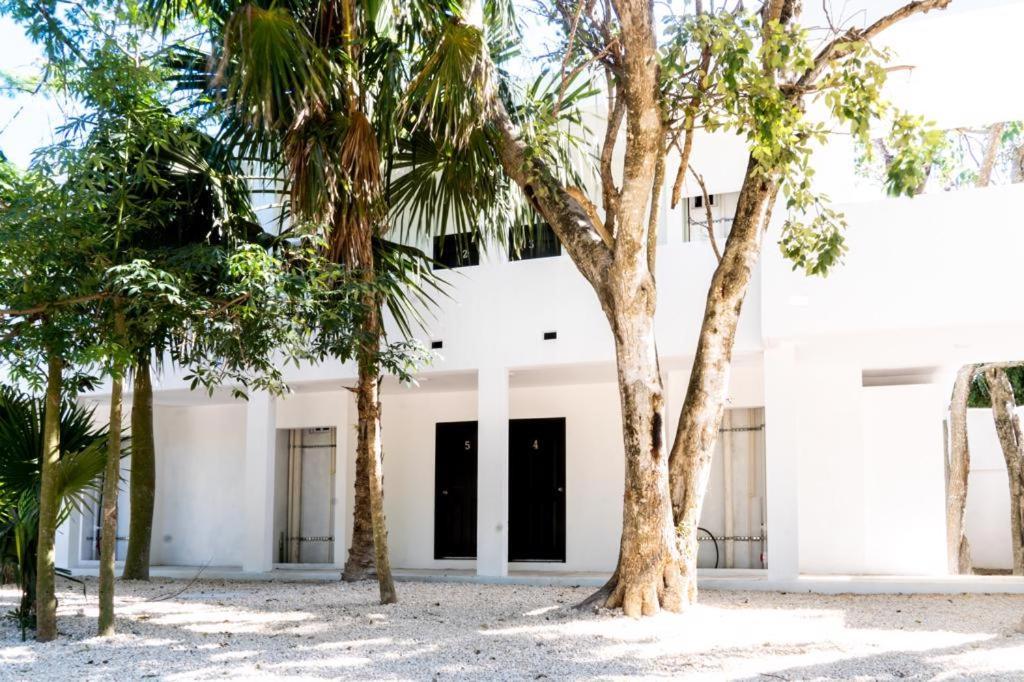Hotel Casa Tortuga Tulum - Cenotes Park Inclusive Exterior photo The house of the writer, in Mérida, Yucatán.